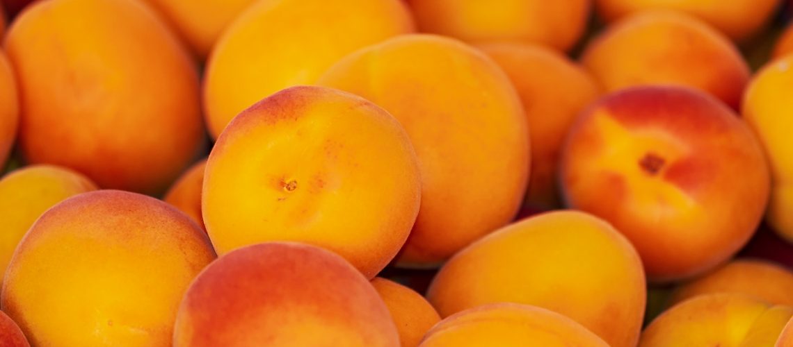 apricots-3433818_1280 (1)