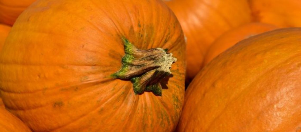 pumpkins-g78e299b2e_1280-700x467