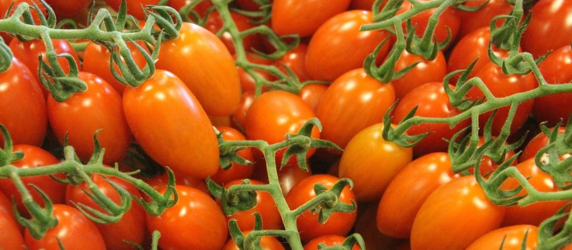 tomatoes-1025550_1280